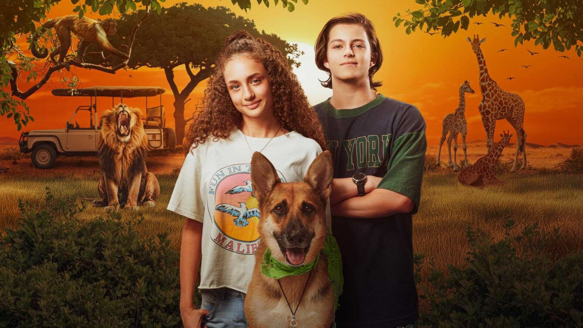 Episode 8